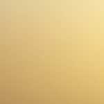 せんせいの引き出し〜静岡産業大学 経営学部 山田悟史先生〜